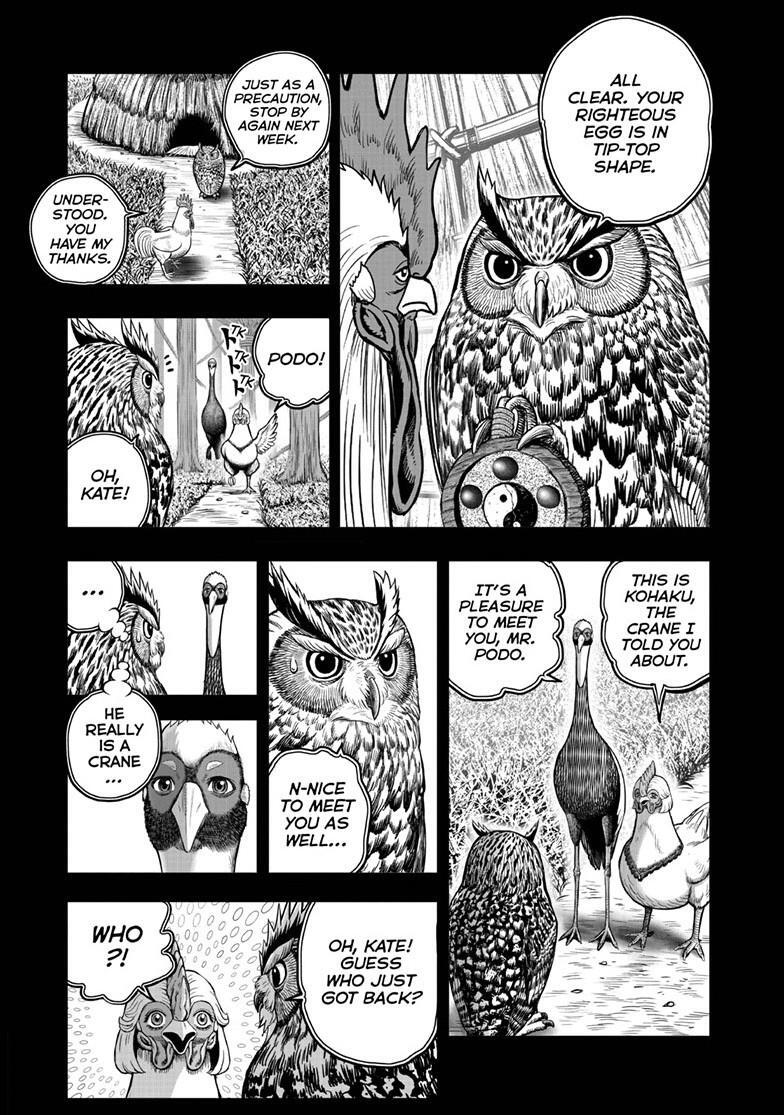 Read Rooster Fighter Manga Online