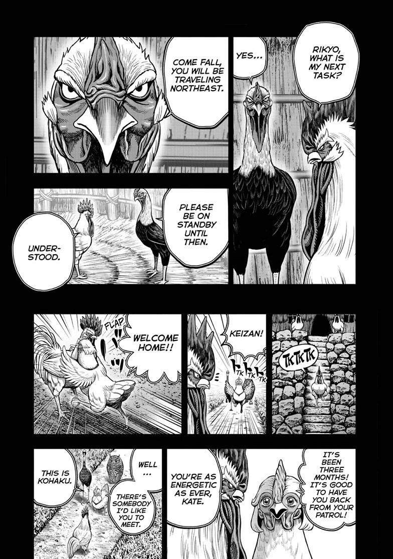Read Rooster Fighter Manga Online
