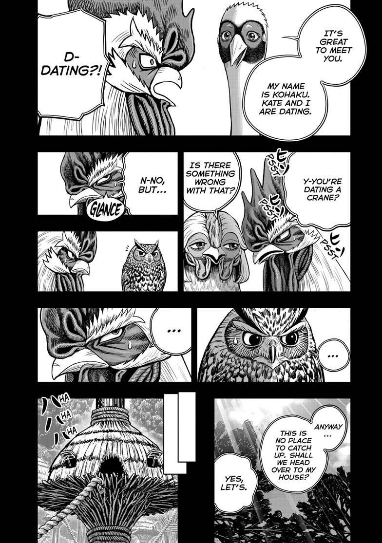 Read Rooster Fighter Manga Online