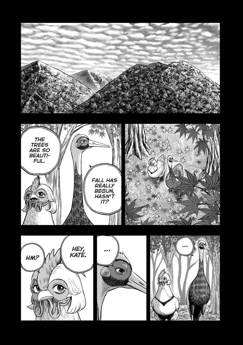 Read Rooster Fighter Manga Online