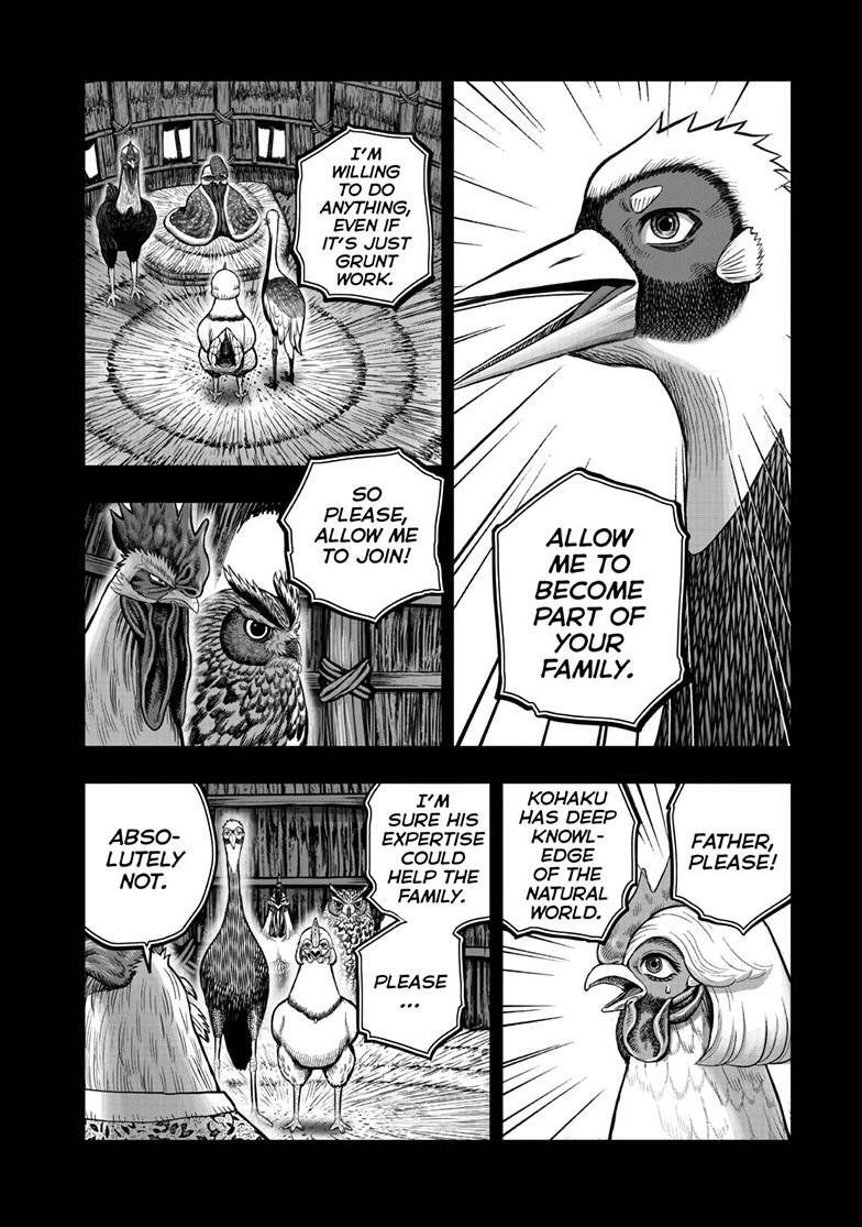 Read Rooster Fighter Manga Online