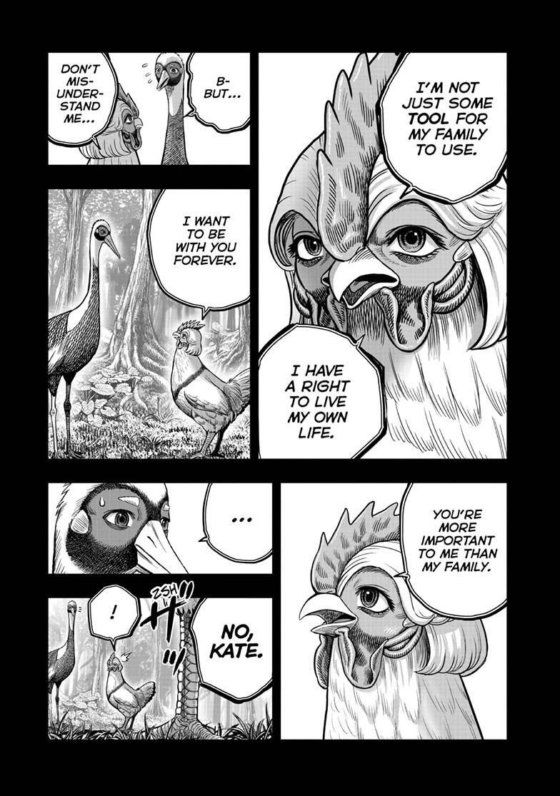 Read Rooster Fighter Manga Online