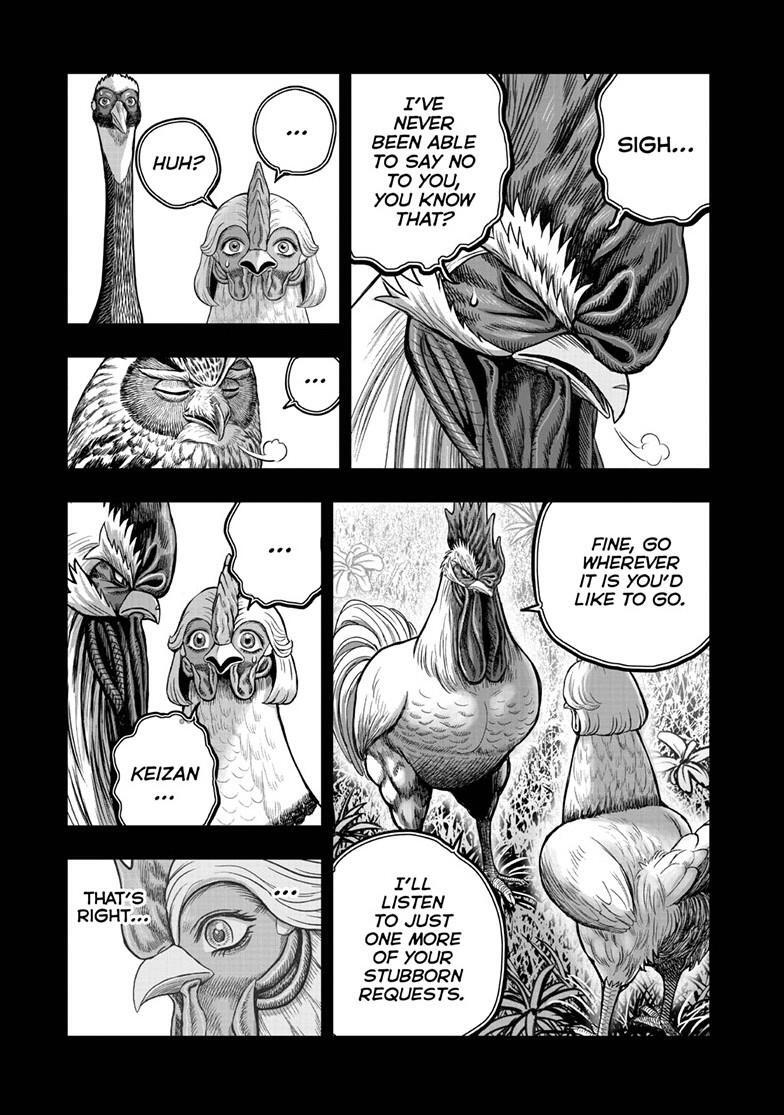 Read Rooster Fighter Manga Online