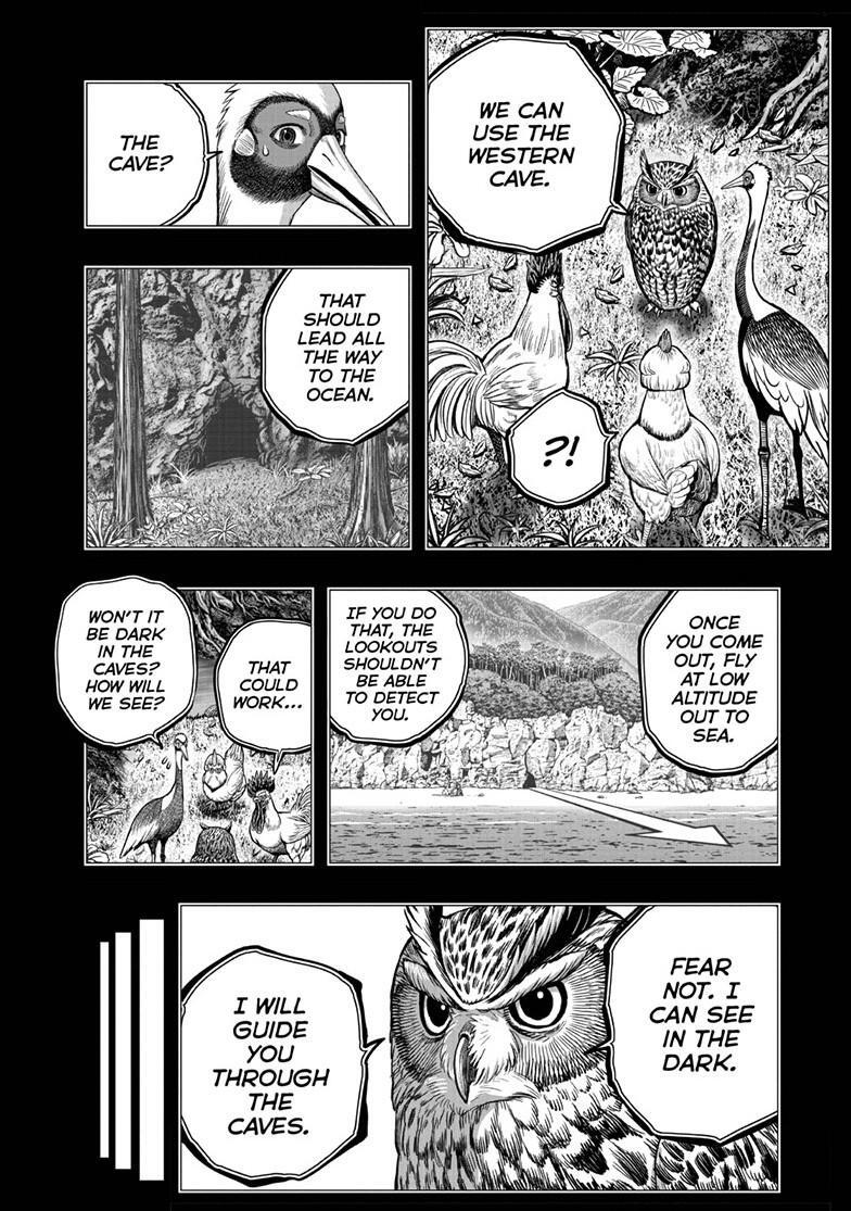 Read Rooster Fighter Manga Online