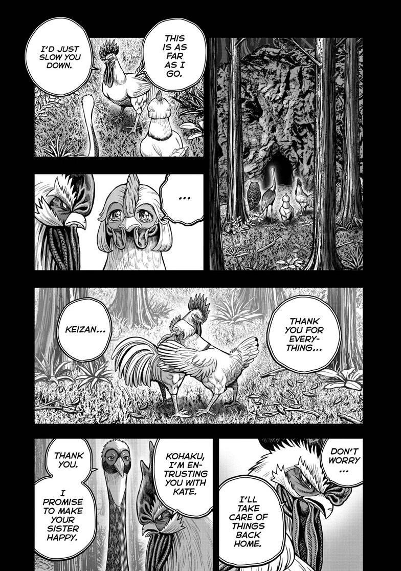 Read Rooster Fighter Manga Online