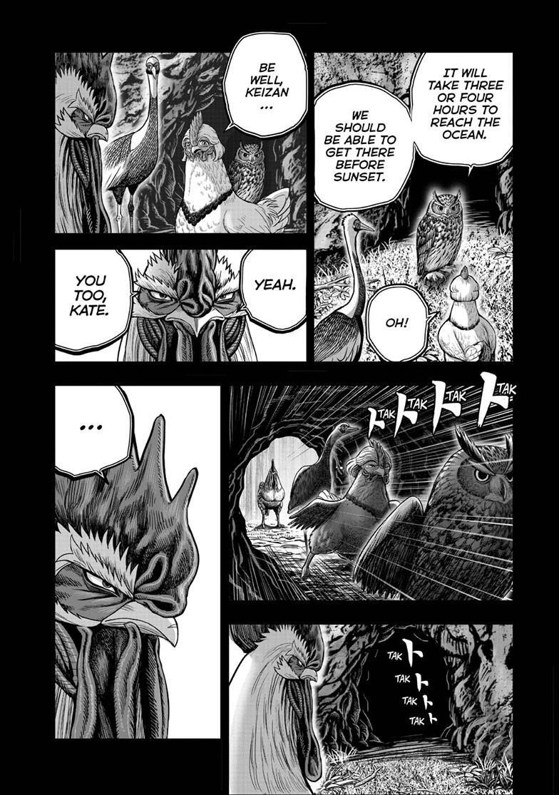 Read Rooster Fighter Manga Online