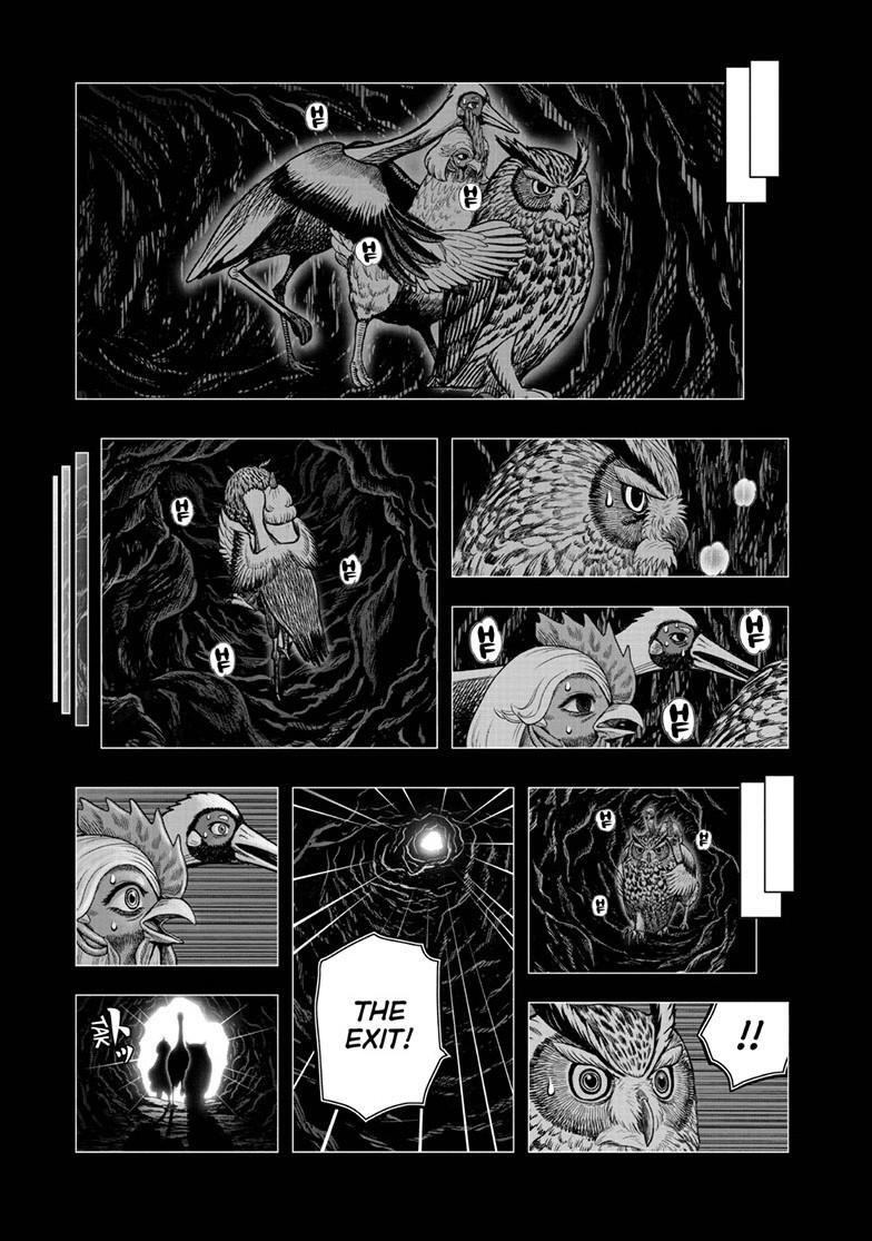 Read Rooster Fighter Manga Online