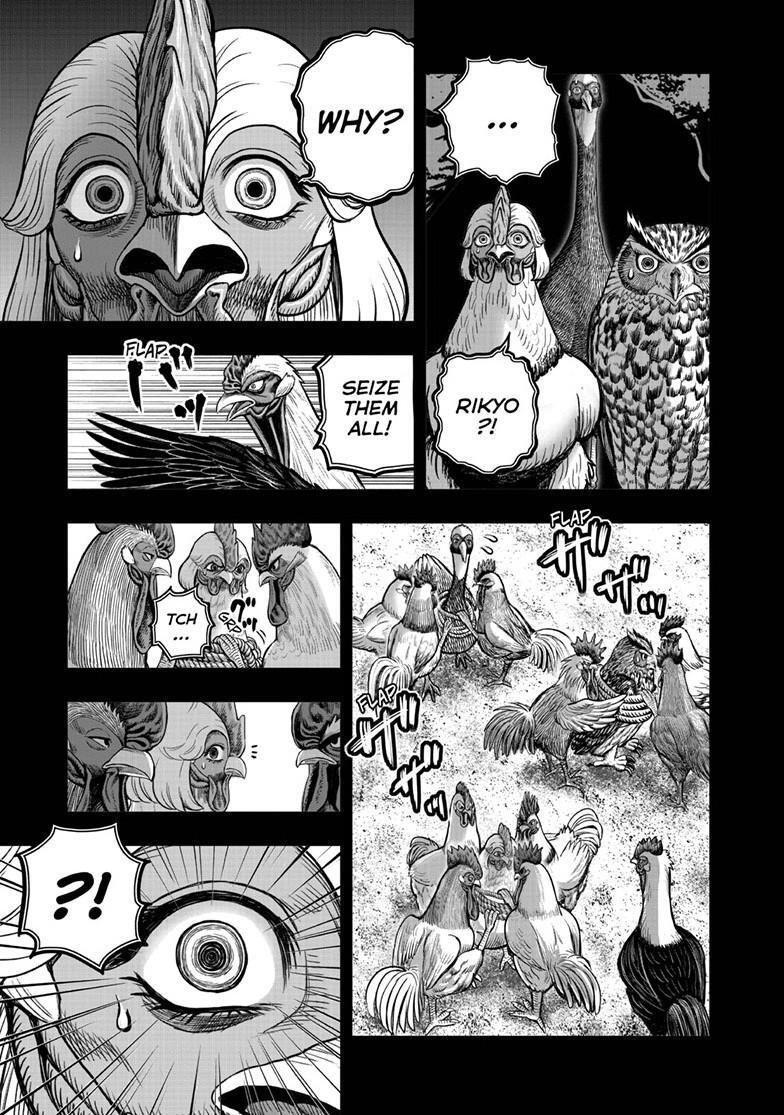Read Rooster Fighter Manga Online