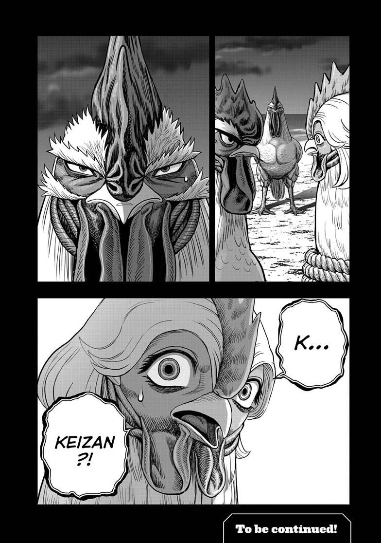 Read Rooster Fighter Manga Online