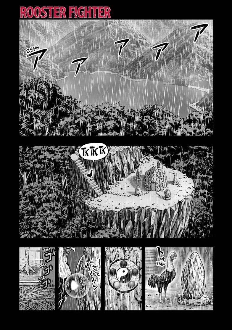 Read Rooster Fighter Manga Online