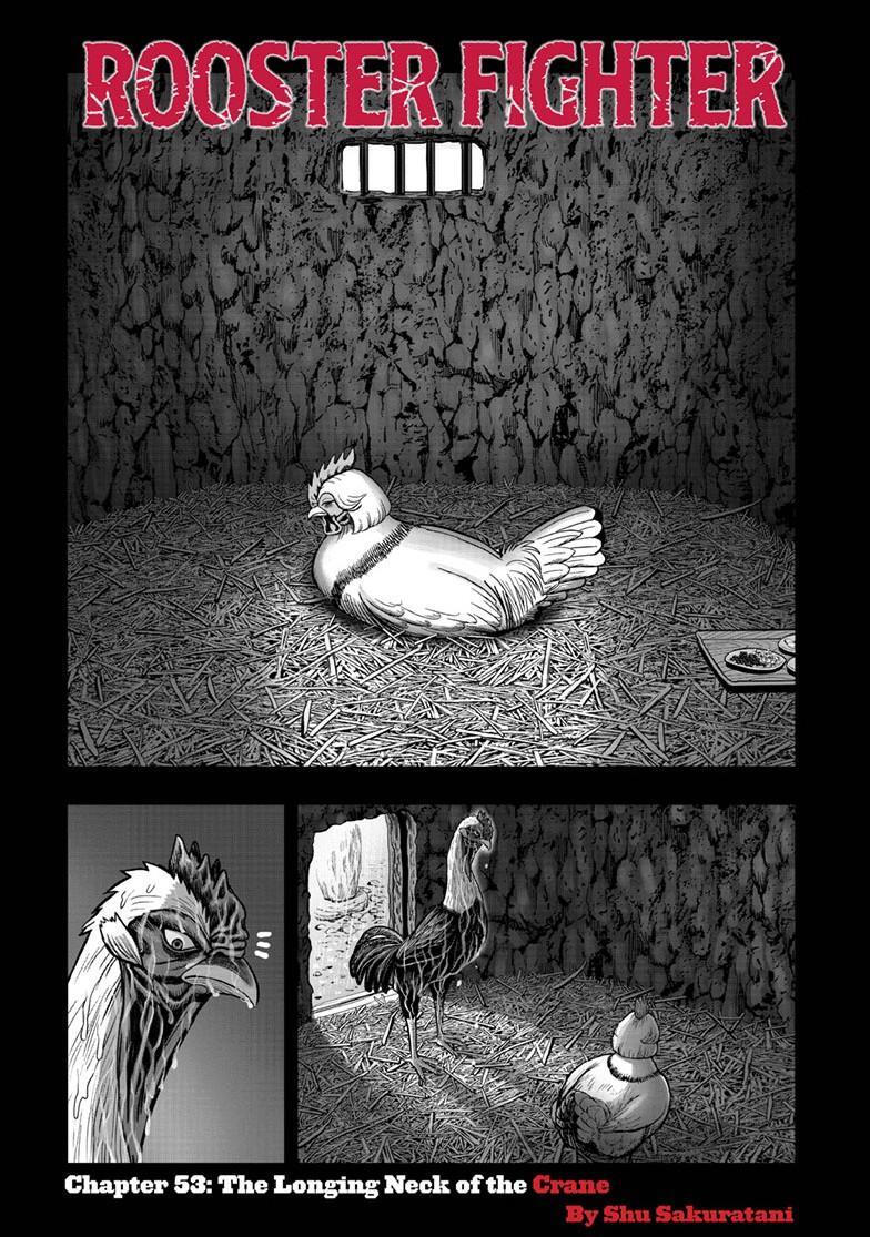 Read Rooster Fighter Manga Online