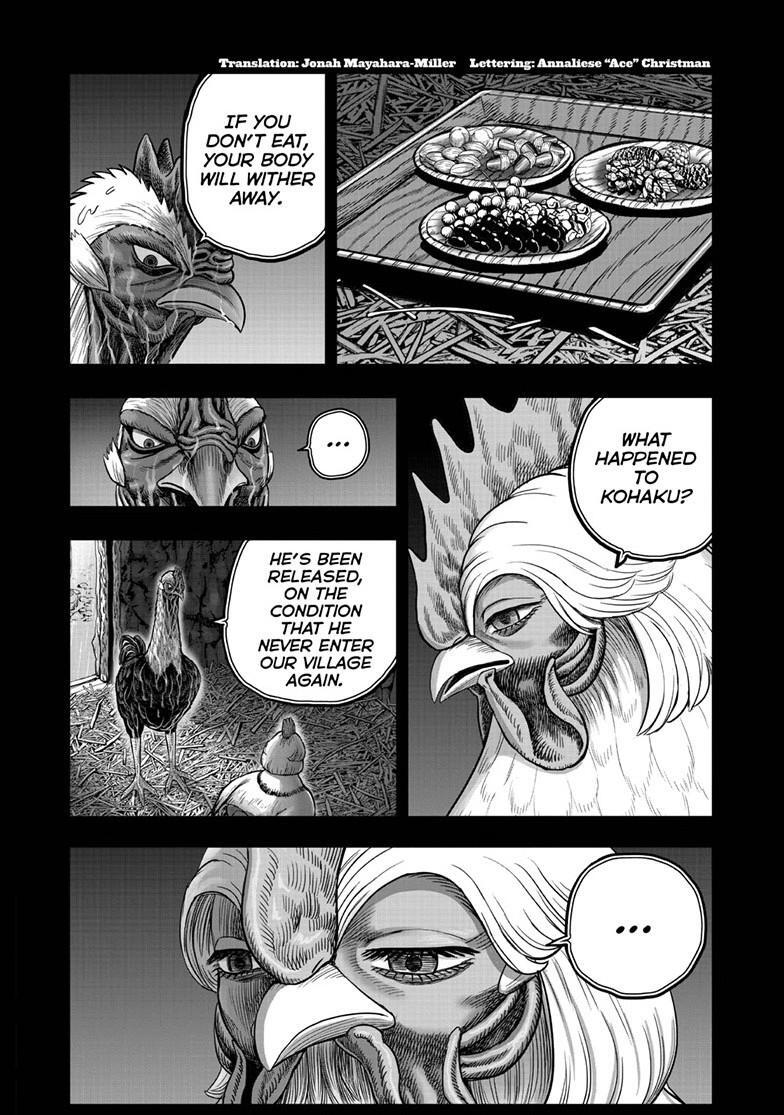 Read Rooster Fighter Manga Online