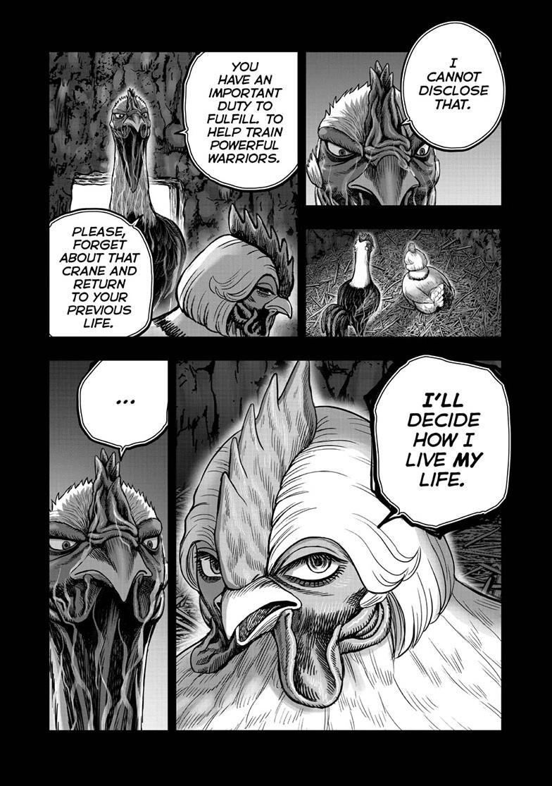 Read Rooster Fighter Manga Online