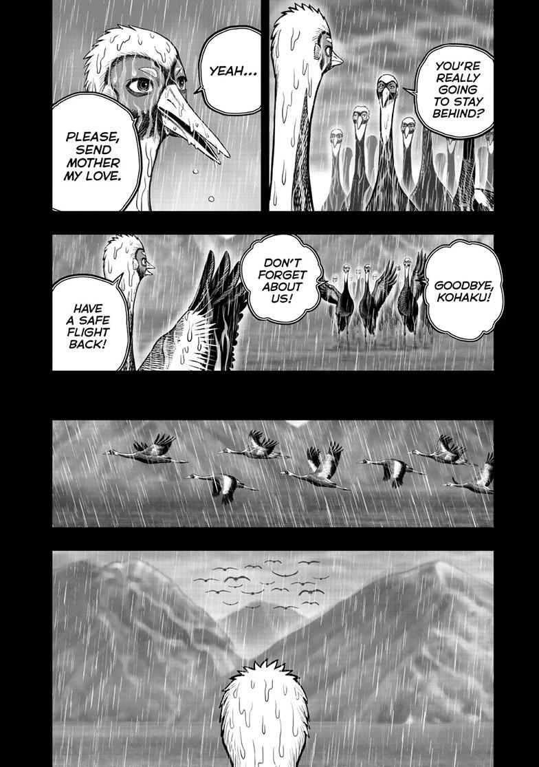 Read Rooster Fighter Manga Online