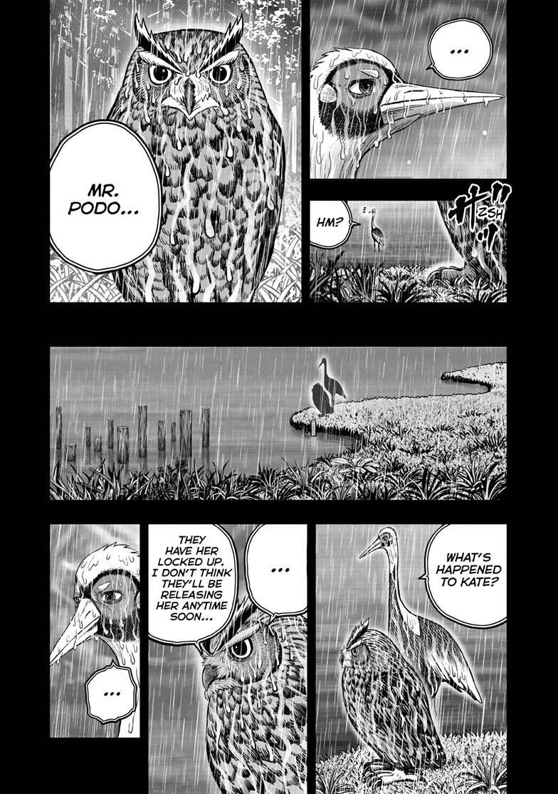 Read Rooster Fighter Manga Online