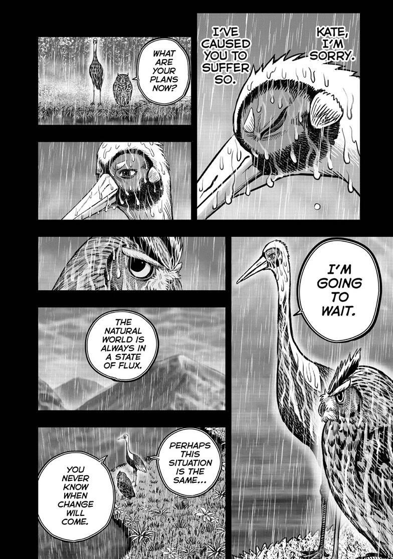 Read Rooster Fighter Manga Online