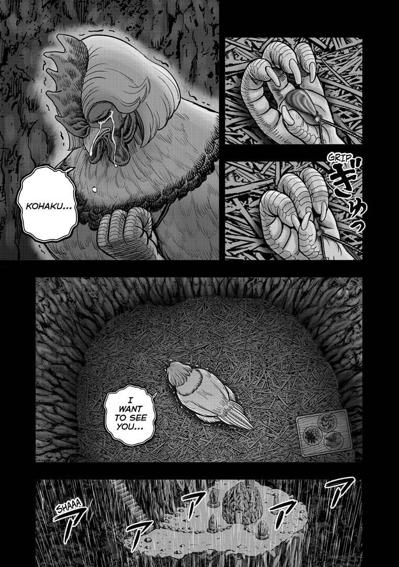 Read Rooster Fighter Manga Online