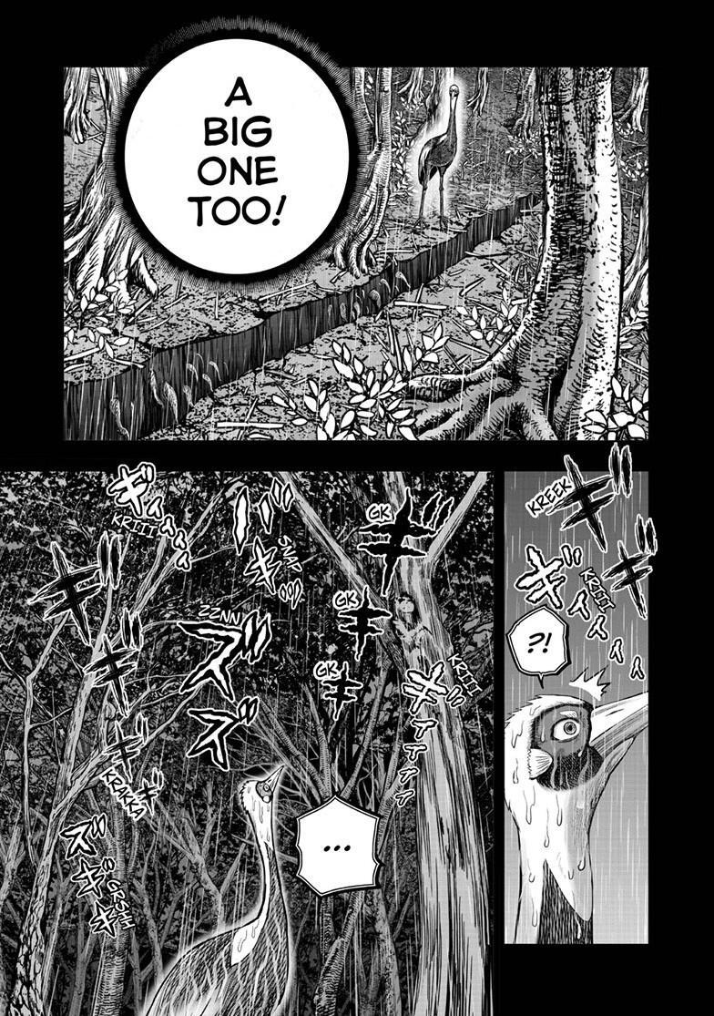 Read Rooster Fighter Manga Online