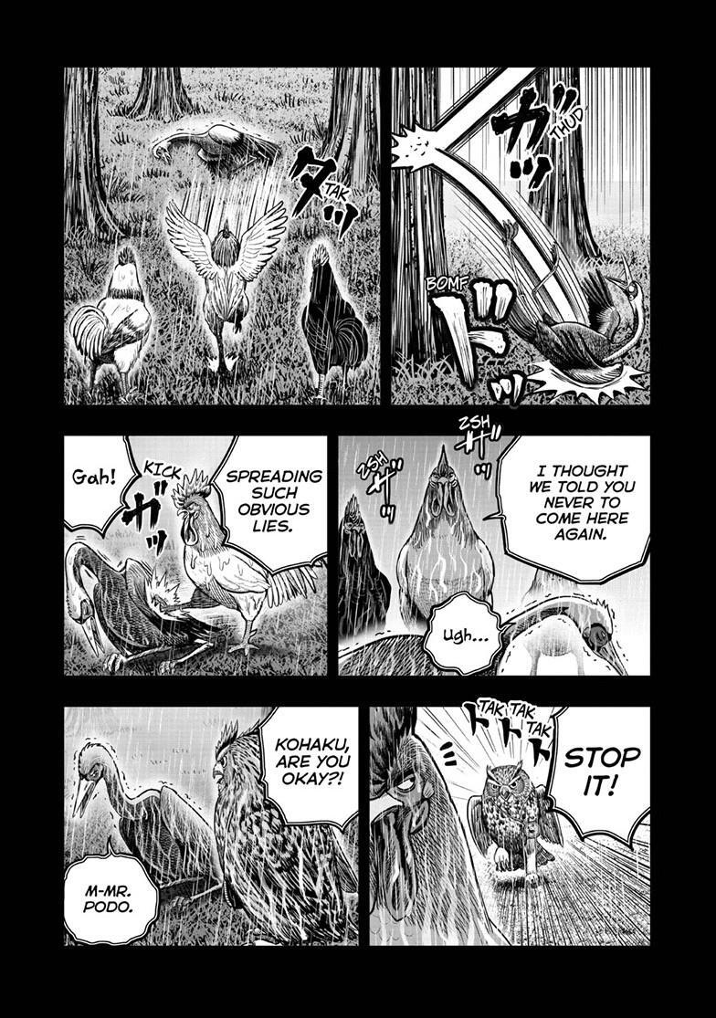 Read Rooster Fighter Manga Online