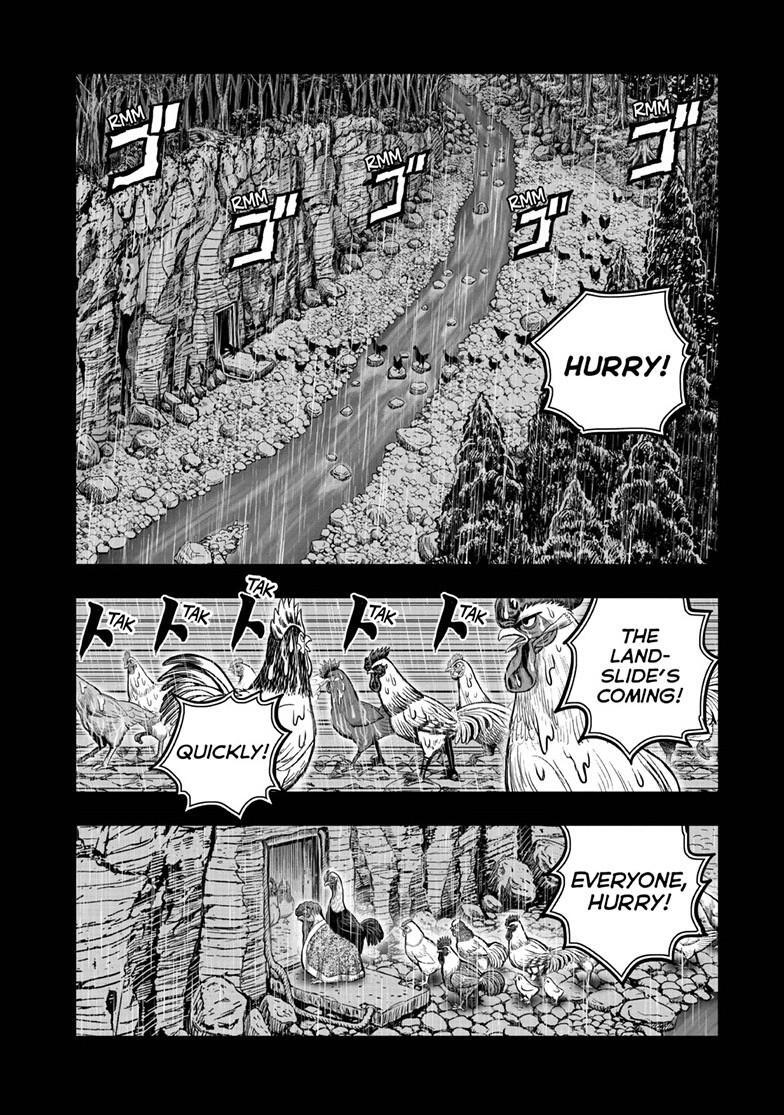 Read Rooster Fighter Manga Online