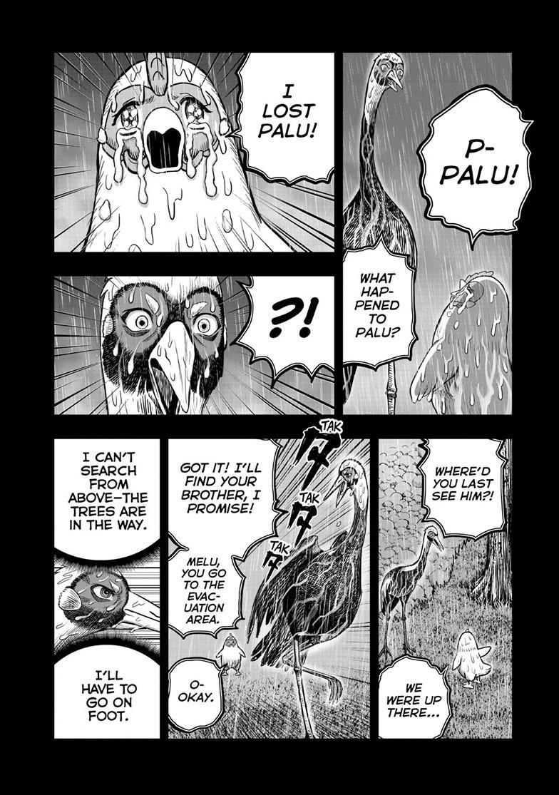 Read Rooster Fighter Manga Online