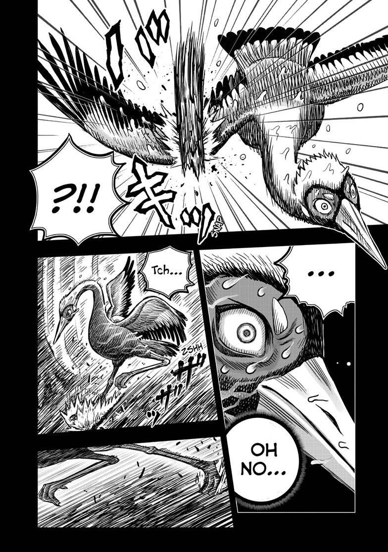 Read Rooster Fighter Manga Online