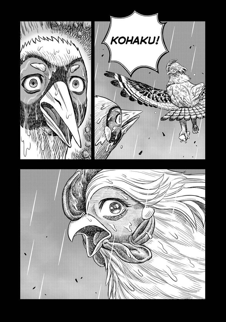 Read Rooster Fighter Manga Online