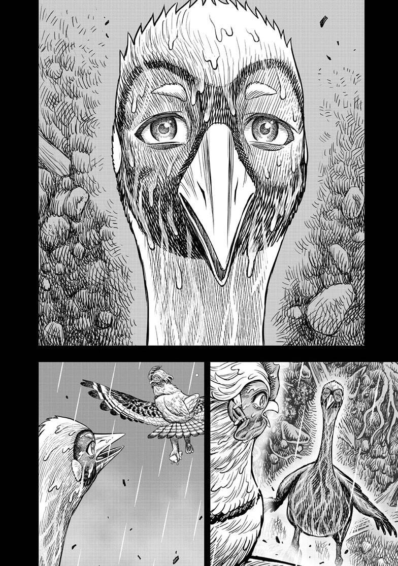 Read Rooster Fighter Manga Online