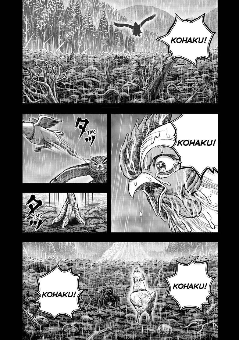 Read Rooster Fighter Manga Online