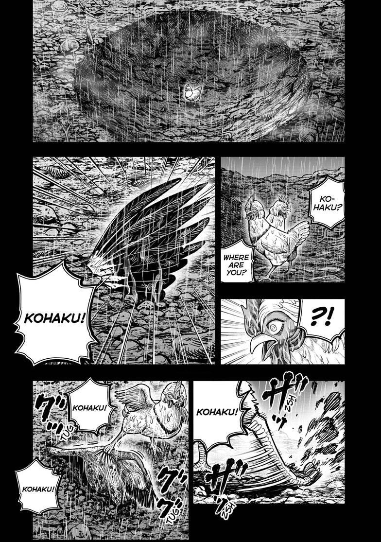 Read Rooster Fighter Manga Online