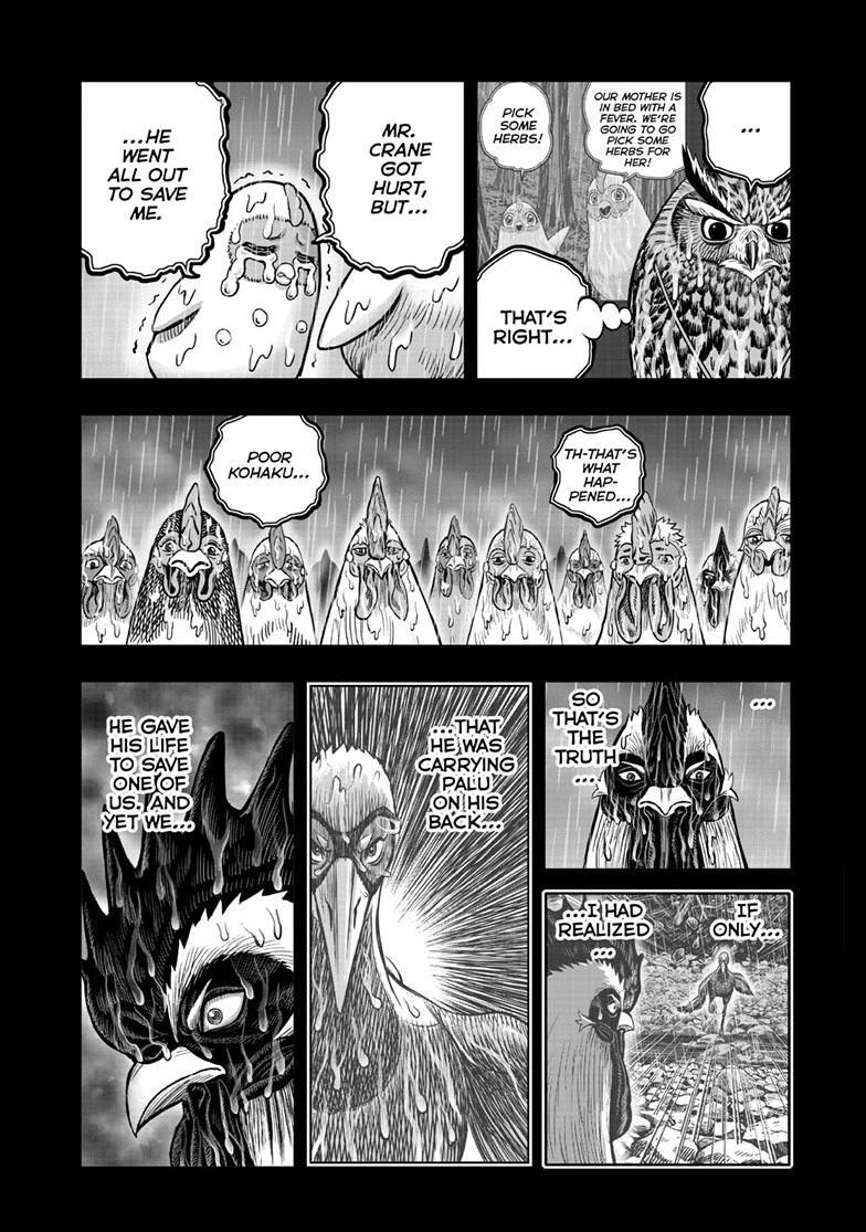Read Rooster Fighter Manga Online