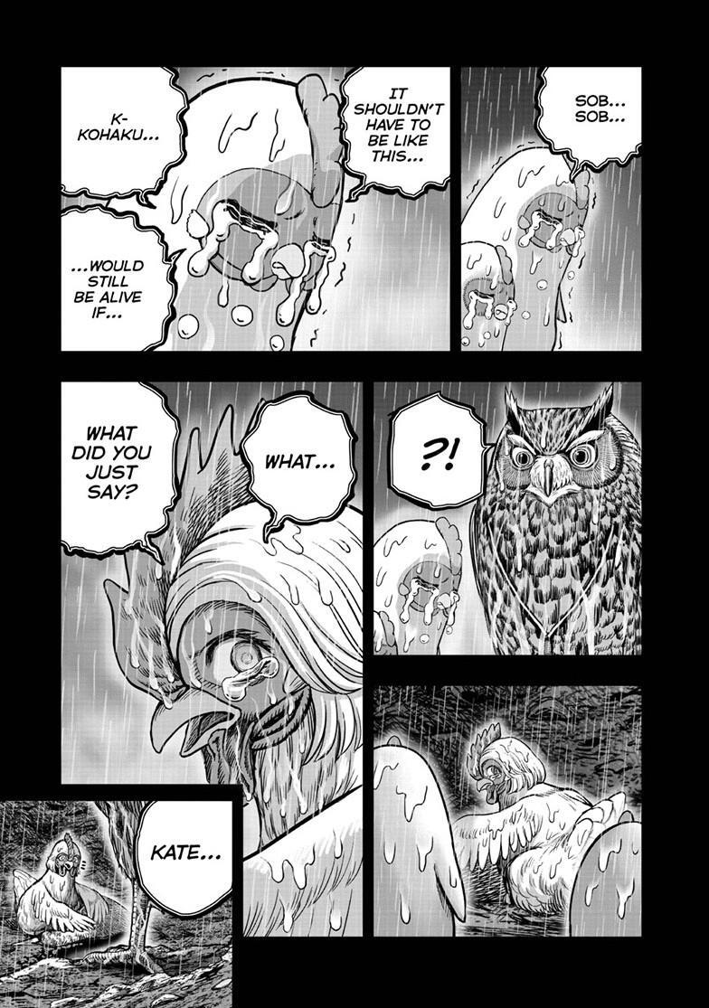 Read Rooster Fighter Manga Online