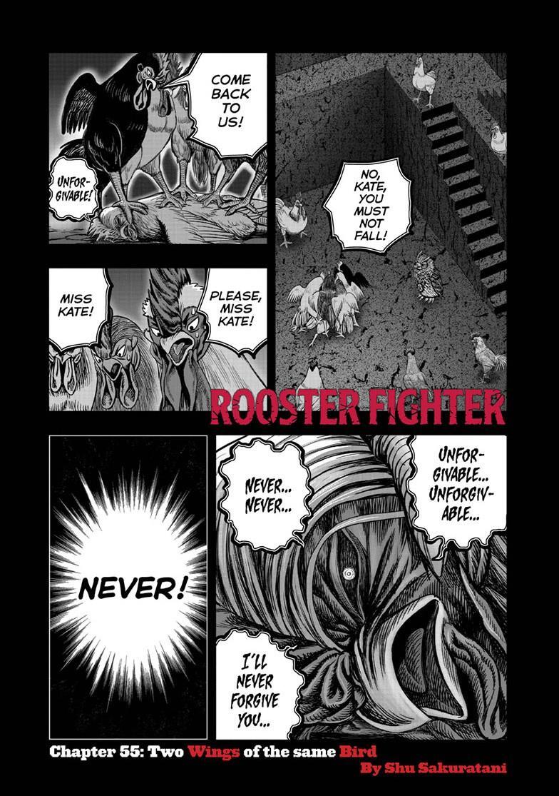 Read Rooster Fighter Manga Online