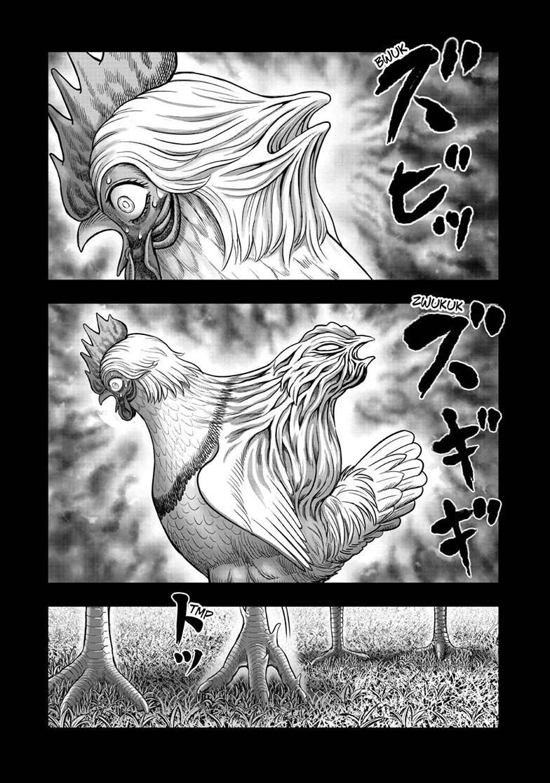 Read Rooster Fighter Manga Online