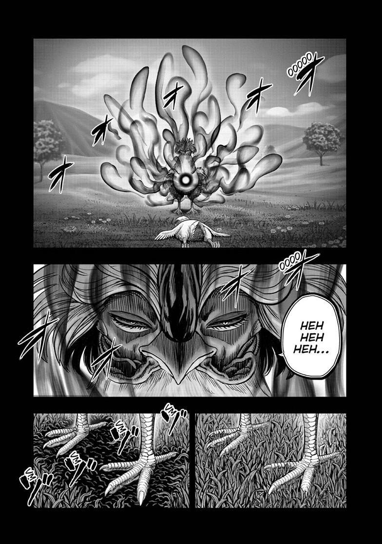 Read Rooster Fighter Manga Online