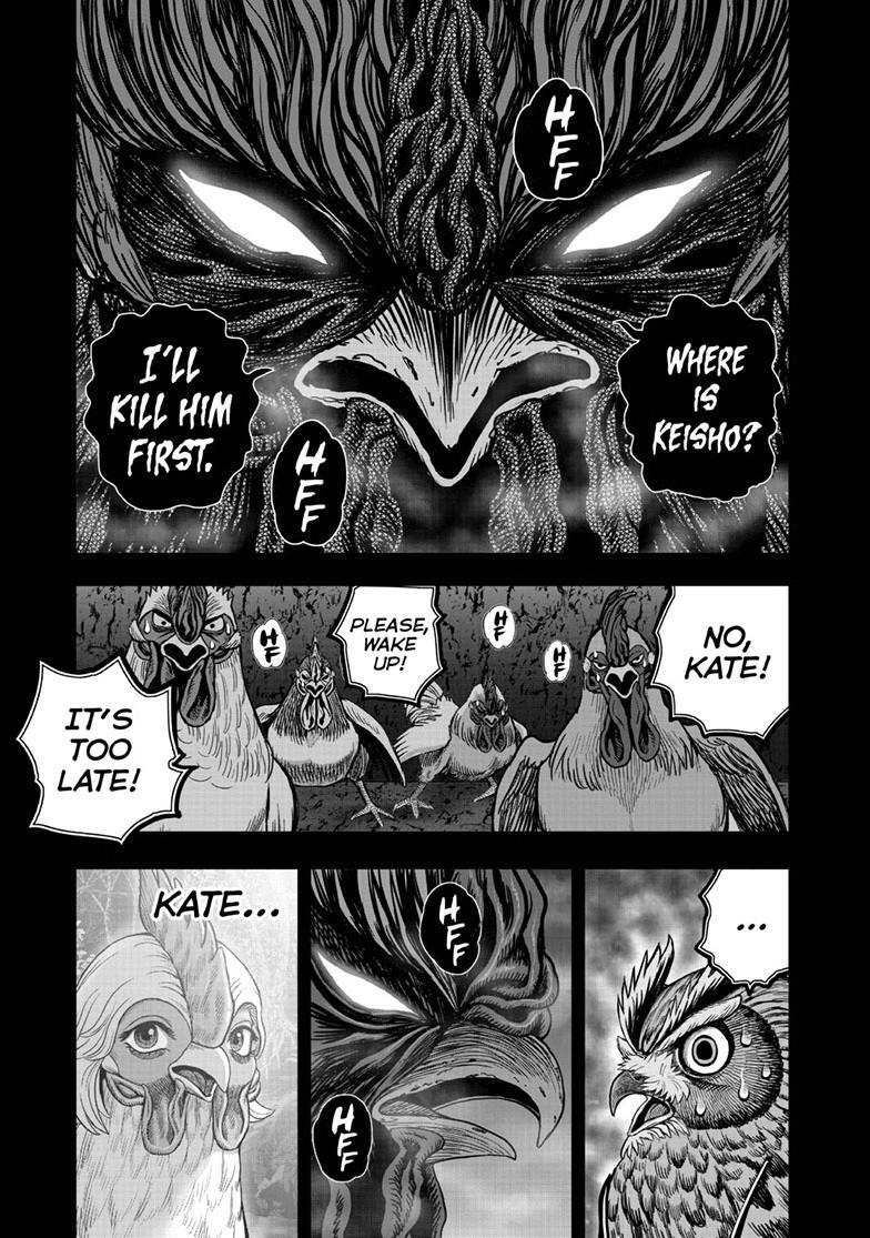 Read Rooster Fighter Manga Online