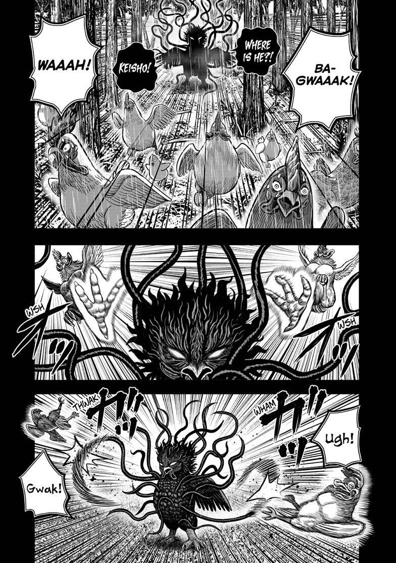 Read Rooster Fighter Manga Online