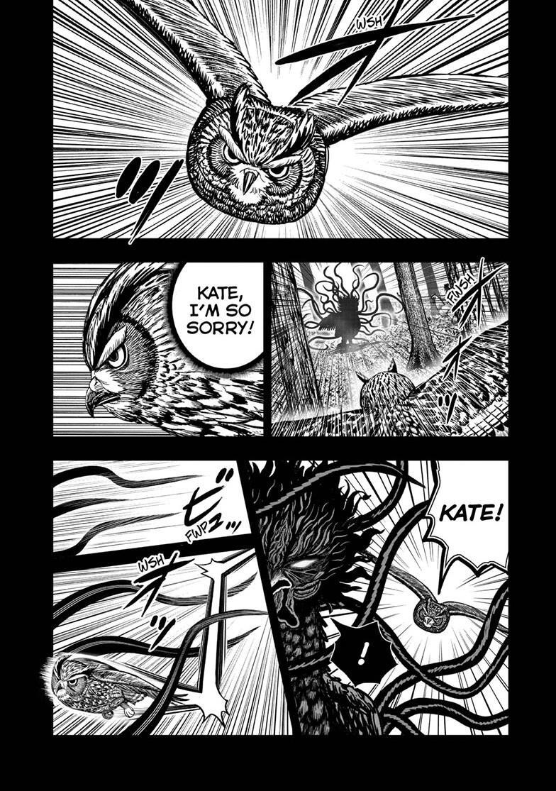Read Rooster Fighter Manga Online