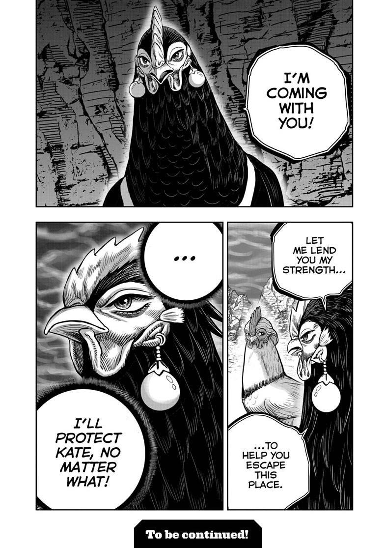 Read Rooster Fighter Manga Online