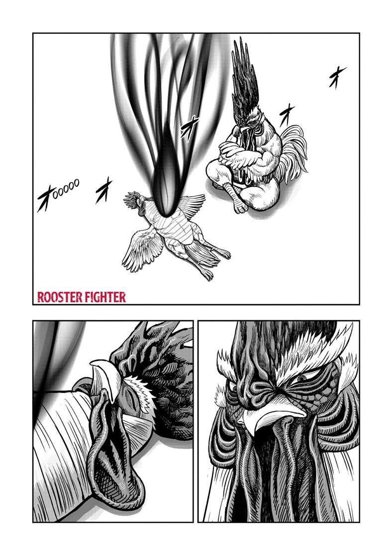 Read Rooster Fighter Manga Online