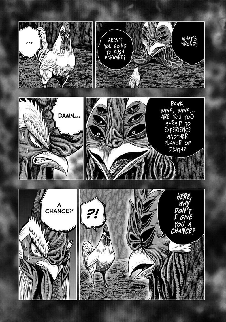 Read Rooster Fighter Manga Online