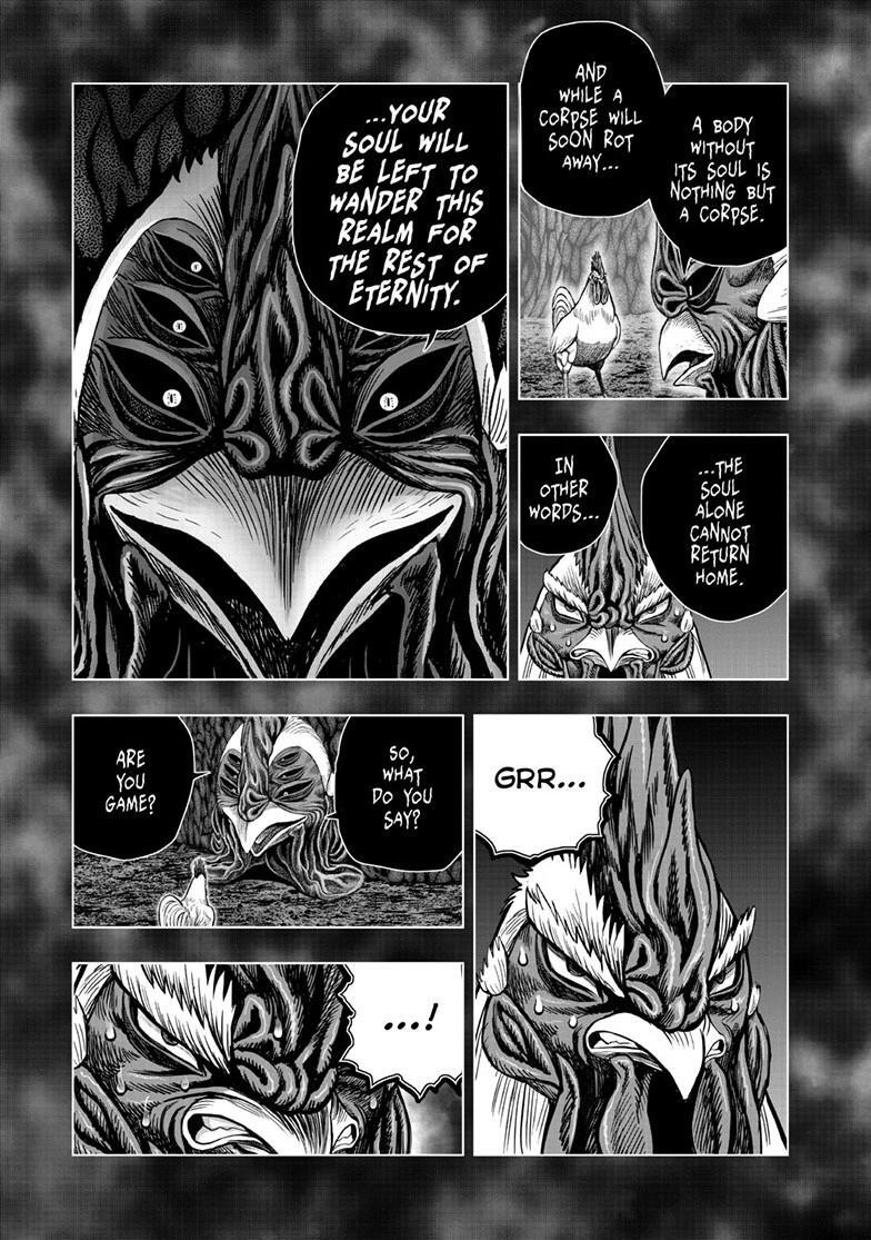 Read Rooster Fighter Manga Online