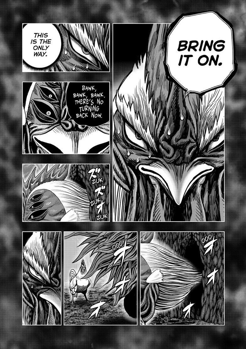 Read Rooster Fighter Manga Online