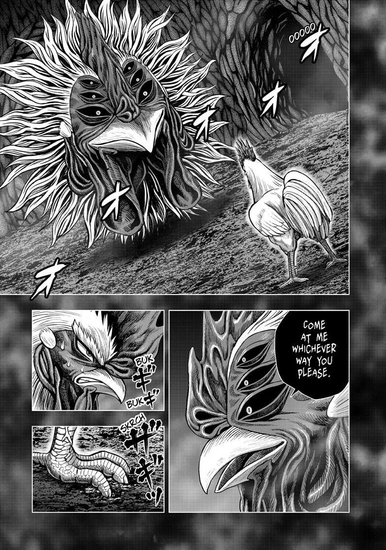 Read Rooster Fighter Manga Online