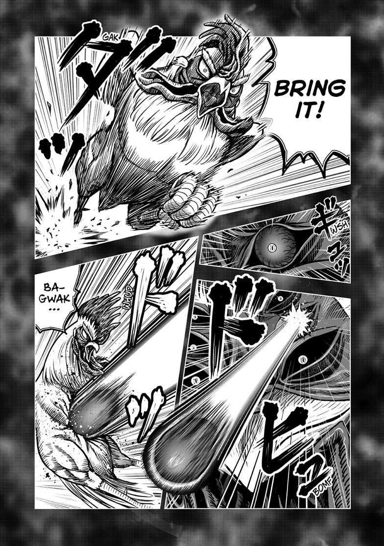 Read Rooster Fighter Manga Online