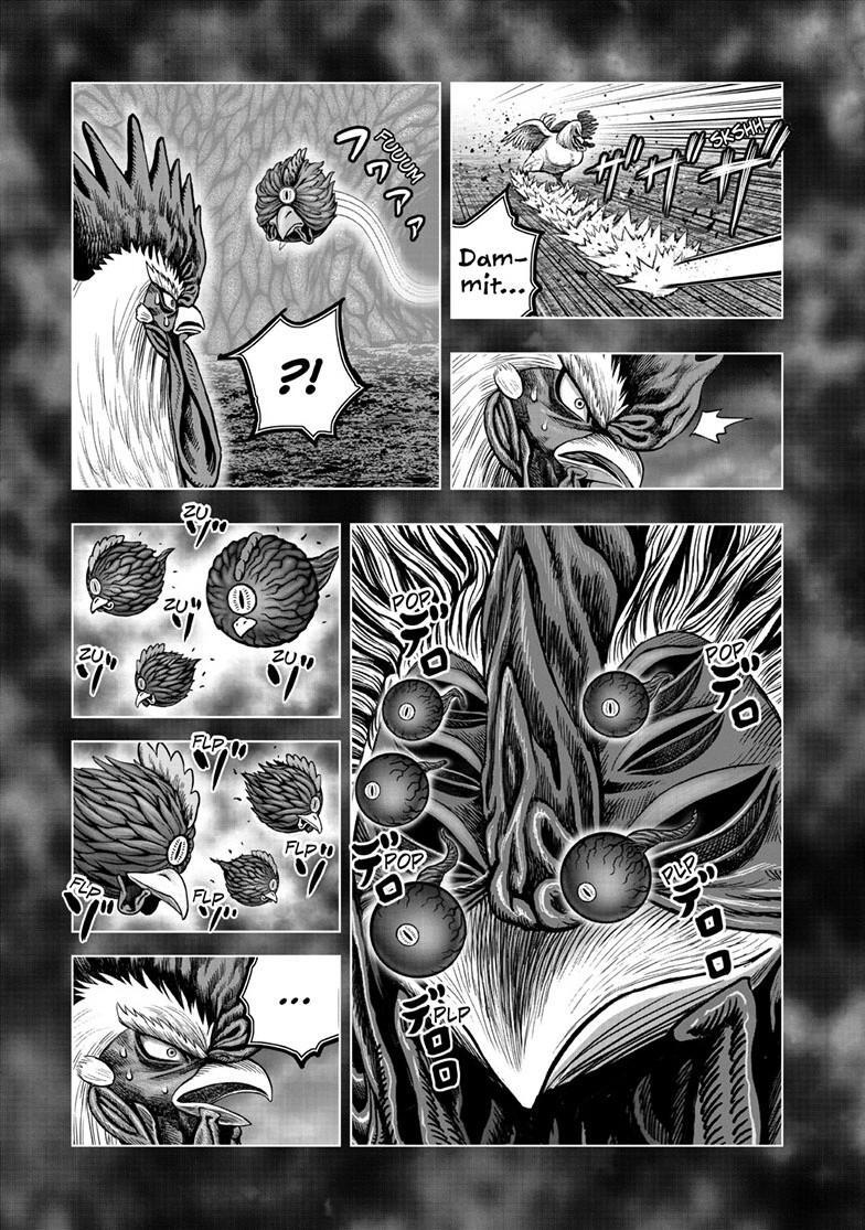 Read Rooster Fighter Manga Online