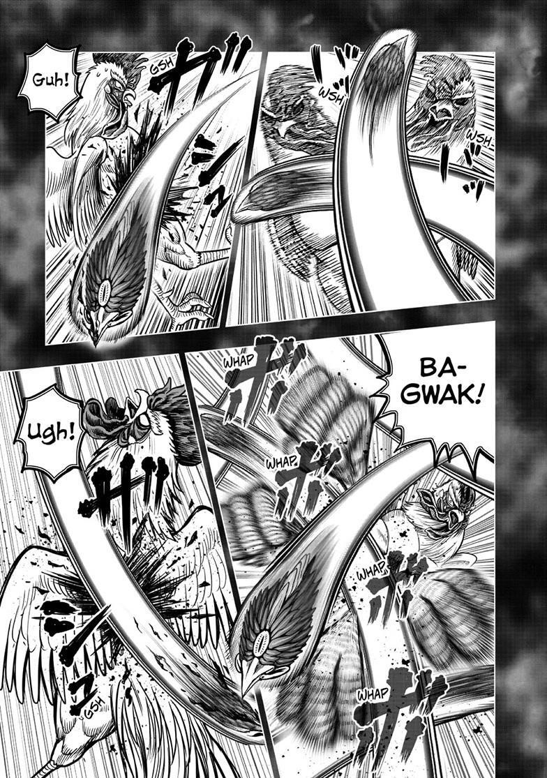Read Rooster Fighter Manga Online