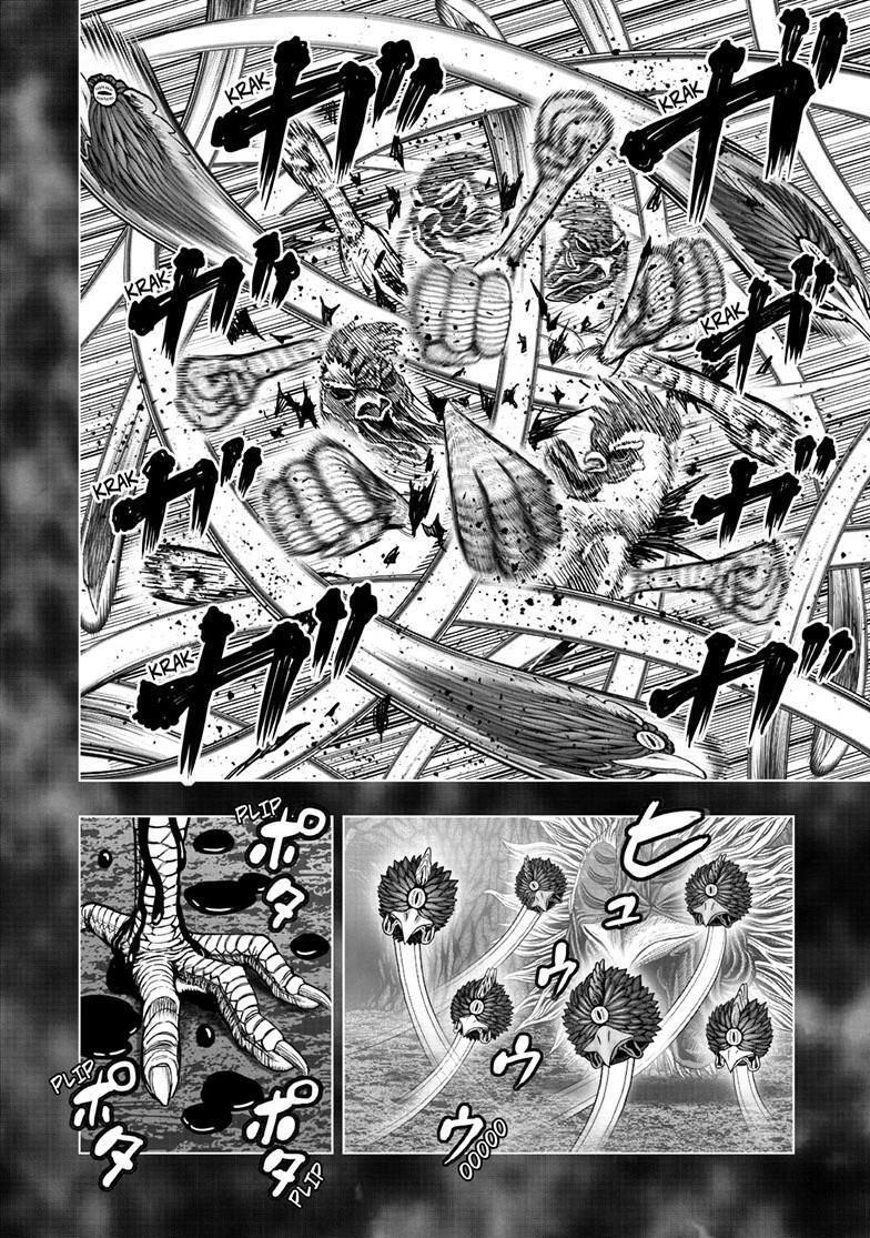 Read Rooster Fighter Manga Online