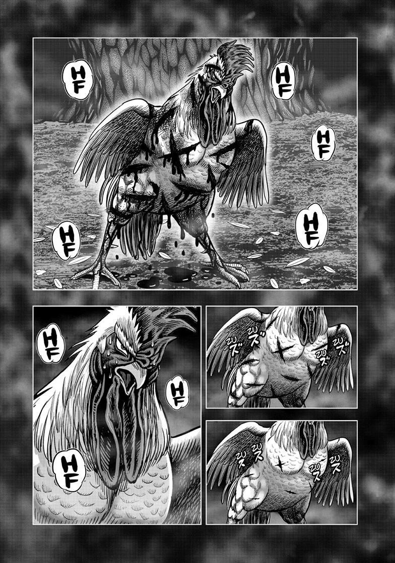 Read Rooster Fighter Manga Online