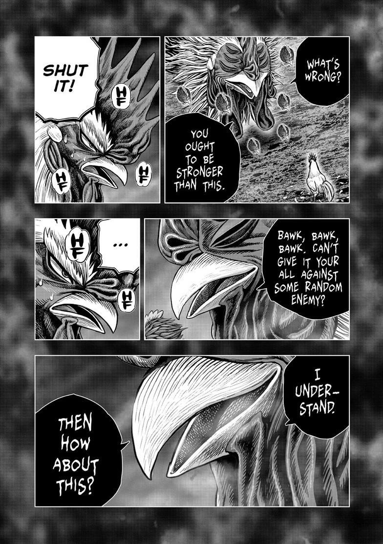 Read Rooster Fighter Manga Online
